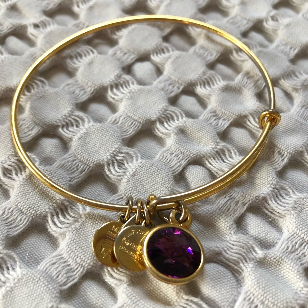 Alex and Ani February Birth Stone Bracelet